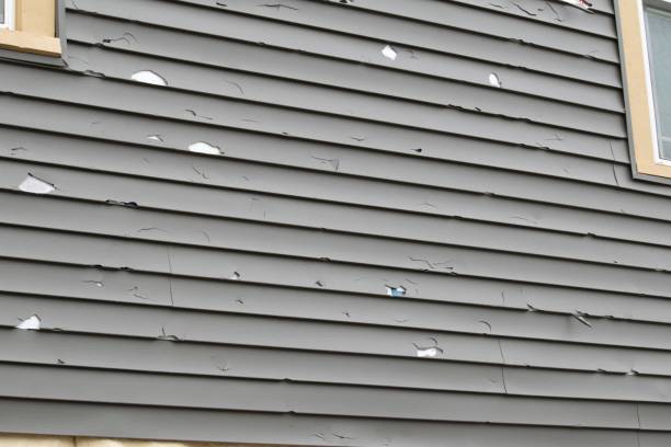 Best Vinyl Siding Installation  in West Park, FL